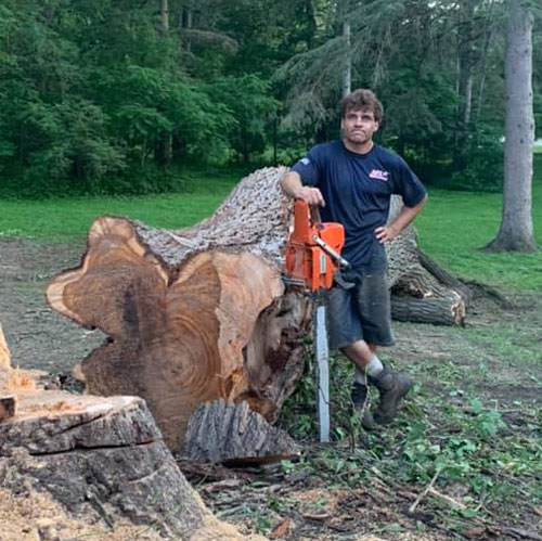 Tree Top climber employee standing beside cut tree